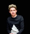 /album/galerie-de-photos-galerie-photos/niall-beau-goss-jpg/
